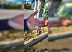 В Анапе неизвестные избили охранника и отрезали ему фалангу пальца