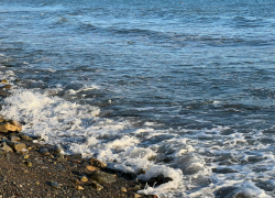 В день тульского пряника жара из Анапы не думает уходить