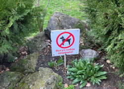 Можно ли приучить анапчан убирать за своими питомцами