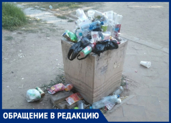 Анапчанин Дмитрий Бенцлер: "Отдыхающие портят облик Витязево, выбрасывая мусор где попало"