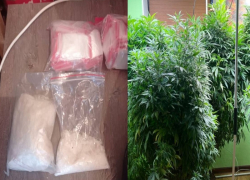 Полкило синтетики и конопля: полиция Анапы арестовала крупного наркодилера