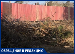 Когда уберут спиленные ветки на Пионерском проспекте в Анапе: есть ответ