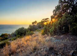 Заповедник «Утриш» под Анапой принял участие в национальной премии «Хрустальный компас»