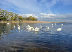 Гороскоп для анапчан:неделя будет насыщенной и интересной