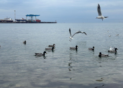 День работника культуры в Анапе будет облачным