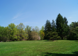 Анапчанка считает, что в городе не хватает парков, зато новостроек - выше крыши