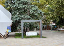 В день любителей чеснока в Анапе сначала облачно, потом ясно