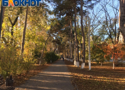 В День рисования на запотевшем стекле в Анапе будет солнечно