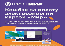 Акция «Кешбэк за оплату электроэнергии картой «Мир» продолжается