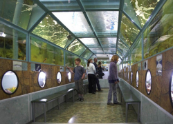 «Батискаф» закрытого режима: суд запретил работу океанариума в Анапе