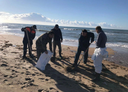 В Темрюкском районе ликвидируют точечные выбросы нефтепродуктов