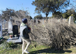 Жителей Анапы попросили убрать старое кладбище