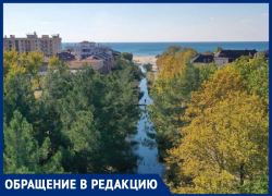 Анапчанин просит власти расчистить русло речки Можепсин – это часть водоотводной системы