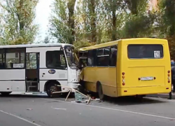 В центре Анапы столкнулись два автобуса, а в Супсехе жестоко обошлись с собакой