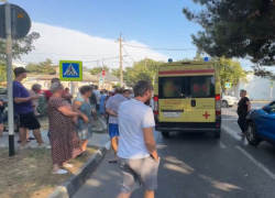 Перекрывших дорогу анапчан-активистов оштрафовали за нарушение ПДД