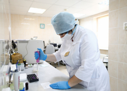 Ещё 198 новых случаев коронавируса на Кубани, в Анапе +1. Сводка на 20 января