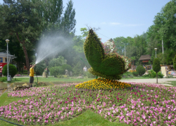 «Весь город должен быть в цветах»: мэр Анапы поручил сделать курорт более привлекательным