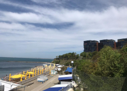 Во Всемирный день черепахи в Анапе пасмурно