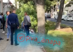 Дерево упало на женщину в центре Анапы