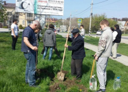 Школьники и депутаты наводили порядок на субботнике в Анапе