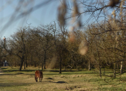 Анапа вошла в число лучших мест для осеннего отдыха 