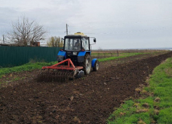 Чтобы не было пожаров: в Анапе и окрестностях обновляют минерализованные полосы