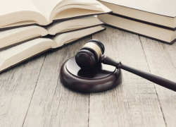 Анапчанам на заметку: вводится запрет на ввоз семян и увеличиваются штрафы за порчу военного билета