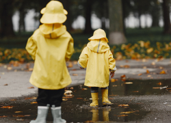 Дождь и мокрый снег: чего ожидать от погоды в ближайшие дни