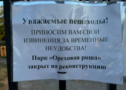 В преддверии бархатного сезона парк «Ореховая роща» закрыли на реконструкцию