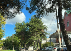 День работников заповедного дела порадует анапчан солнечной погодой