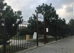 Ограждать нельзя оставить – будет ли забор вокруг Ореховой рощи