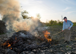 Любителей сжигать мусор на плавнях и в Утрише будет выслеживать «Безопасный город»