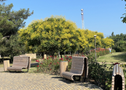 В День флориста в Анапе тепло и ветрено