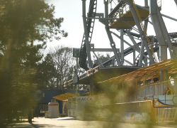 Во Всемирный день защиты животных Анапа будет купаться в солнечных лучах