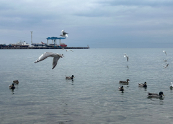 Во Всемирный день театра в Анапе пасмурно и тихо
