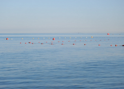 В День рождения «Диснейленда» в Анапе солнечно и жарко