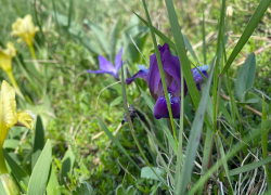В День рождения складного зонтика в Анапе возможен небольшой дождь