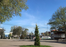 В День любви к деревьям в Анапе в основном солнечно