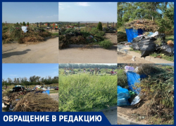 Городское кладбище в Анапе заросло амброзией и погрязло в мусоре