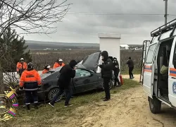 Под Анапой водитель погиб после столкновения с деревом