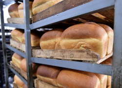 День запаха свежего хлеба в Анапе будет по-прежнему дождливым