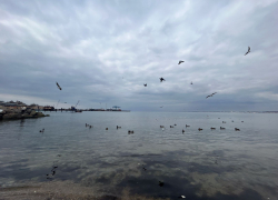 Гороскоп для анапчан с 27 марта по 2 апреля: Стрельцов могут ожидать эмоциональные перепады