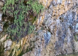 Оазис уединения с природой : в Анапе можно увидеть «Плачущие скалы»