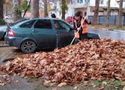 Дворники в Анапе собрали 5 тысяч кубометров листвы