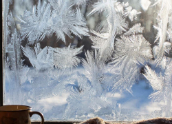 По Анапе ударят ночные заморозки