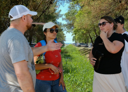 «Машин приезжих стоит множество, а местным и поставить авто негде» – конфликт из-за парковки