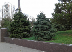 Последний день осени будет в Анапе солнечным