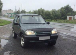 В Анапе поездка на авто по ступенькам парка закончилась для автохама штрафами