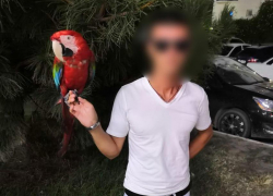 Фотографа с попугаем задержала полиция Анапы в Витязево