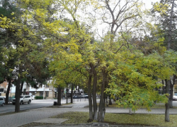 День Героев Отечества не порадует анапчан солнечной погодой